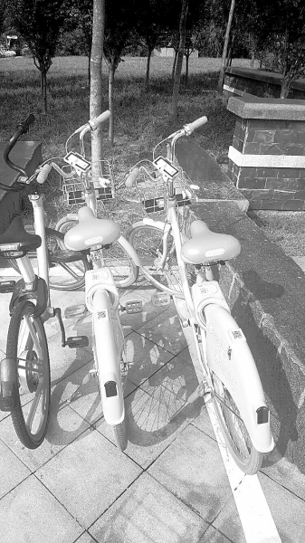 可給手機(jī)充電的共享單車(chē)