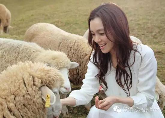 明星旅行糗事一籮筐 總有一個萌到你！