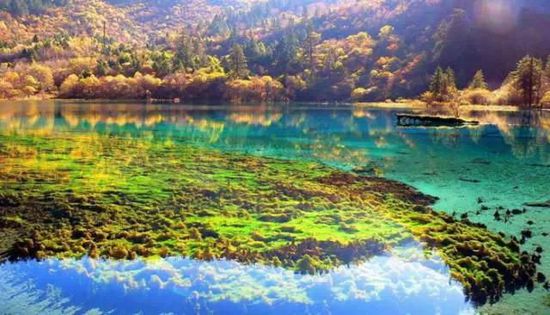 門(mén)票那么貴 沒(méi)法玩耍了！