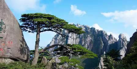 門(mén)票那么貴 沒(méi)法玩耍了！