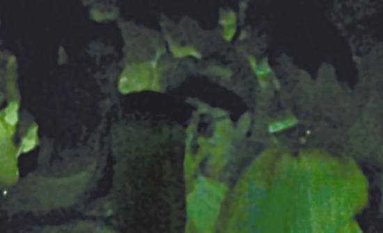 房祖名去年被港媒直擊在中環(huán)夜店與長發(fā)妞互動曖昧，女生正是Nana