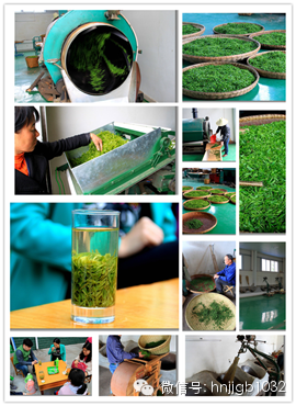 制茶的工藝真地道，仿佛聞到了茶香