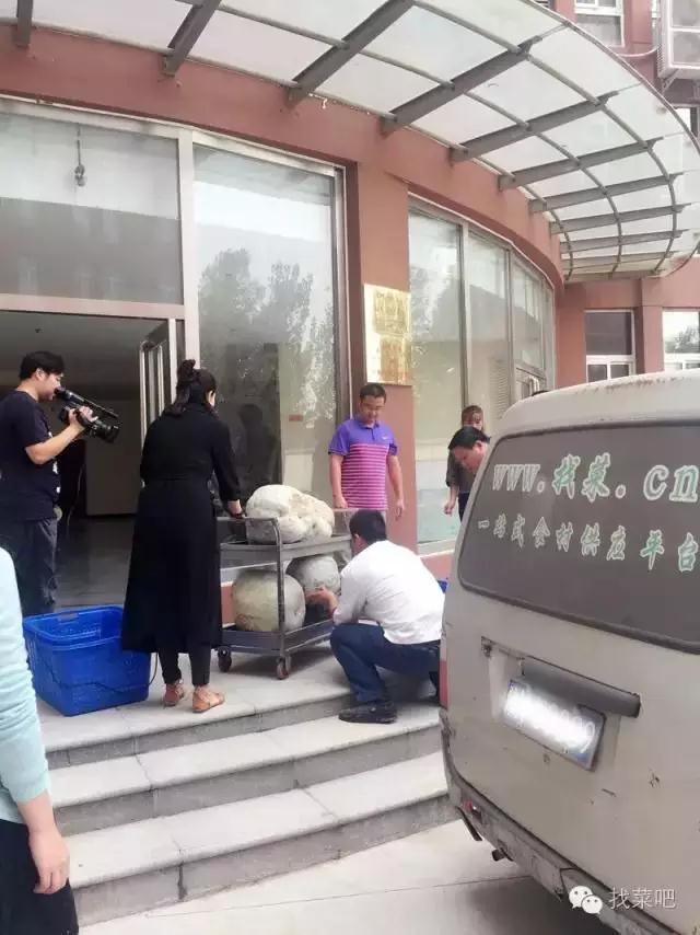 找菜網(wǎng)認(rèn)購(gòu)百萬(wàn)斤冬瓜，解農(nóng)戶燃眉之急