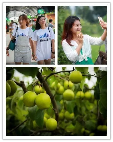 美女與香梨，你更愛(ài)哪一個(gè)？！