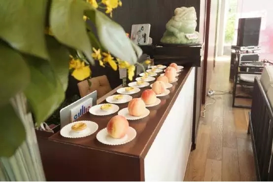 水果、飲料、點(diǎn)心等冷餐自助持續(xù)供應(yīng)滿足嘉賓的胃和味蕾