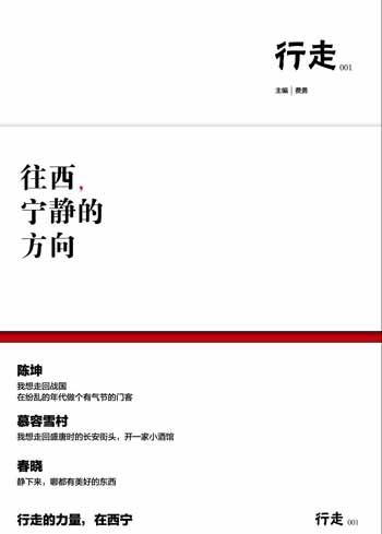 陳坤首次擔(dān)當(dāng)出品人的《往西，寧?kù)o的方向》