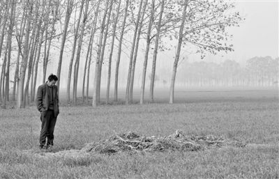 11月21日，高松中站在腦癱雙胞胎兒子墳前。