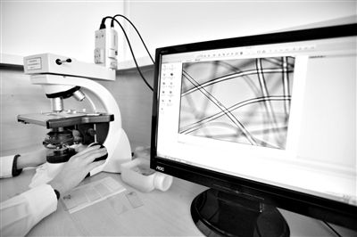 顯微鏡下，聚酯纖維很光亮，表面有斑點，粗細(xì)非常均勻。