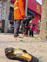 老漢右腿燒傷，樹下扔了一只燒焦的鞋