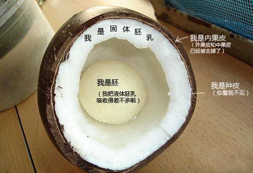 你在甜品店常吃的東西，到底都是啥？