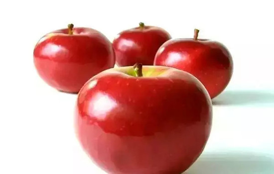 小心有毒！各種蔬果不能吃的部分