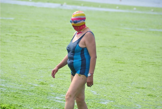 2013年7月3日，山東青島青島高溫來襲，“青島大媽”不懼滸苔，戴著“強盜面具”出現(xiàn)在海水浴場消暑降