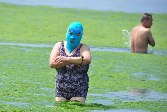 2013年7月3日，山東青島青島高溫來襲，“青島大媽”不懼滸苔，戴著“強盜面具”出現(xiàn)在海水浴場消暑降