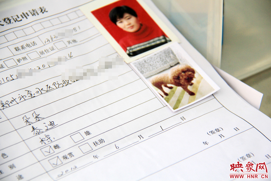 辦理狗證，需要填寫申請表