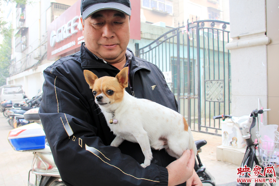 在市民眼里，小狗狗都是他們的小寶貝