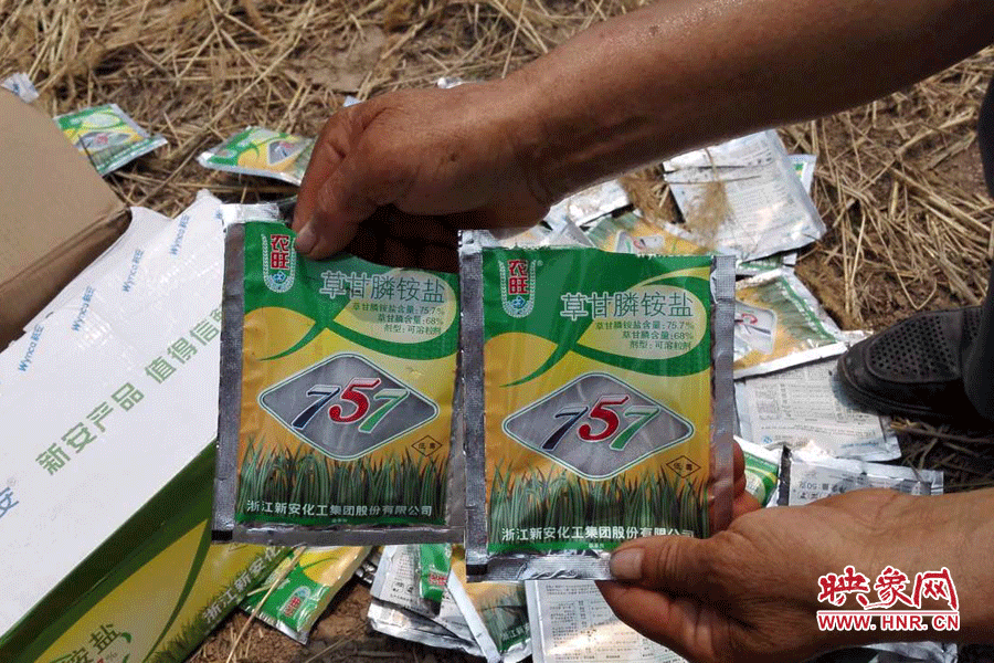 毀掉玉米的農(nóng)藥袋散落在地頭。