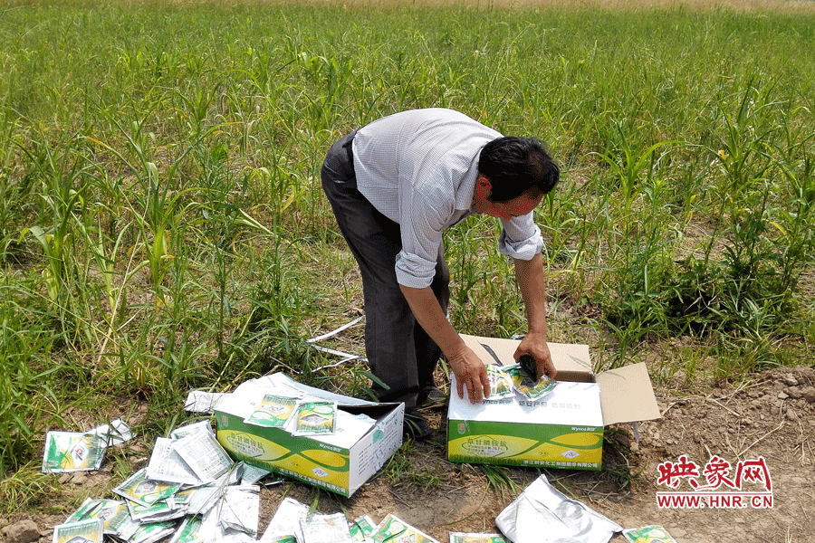 村民察看摧毀玉米的農(nóng)藥。