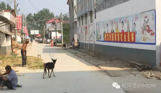 孫莊村一角。新京報記者安鐘汝 攝