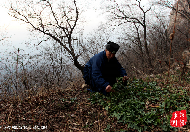 山上缺雨少水，不大的一方菜地。是他和另一個(gè)道友的菜地，老崔的蔬菜倒也擺弄的一片生機(jī)盎然。