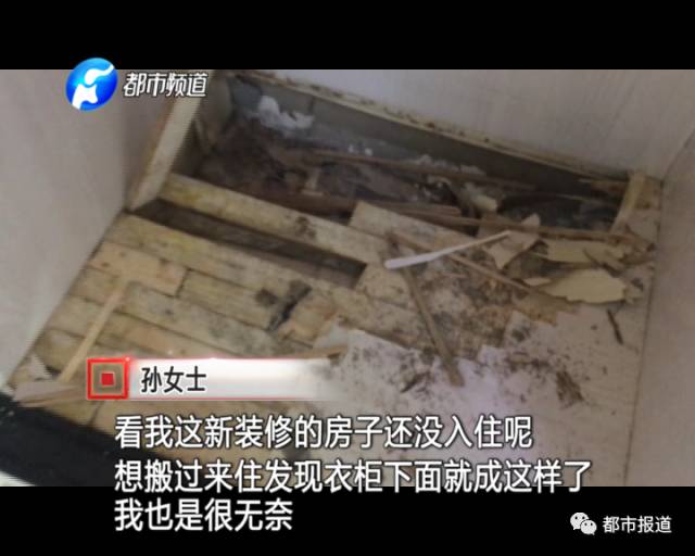 蟻?zhàn)宕筌娙肭郑∈畮兹f裝修的新家被“吃掉”