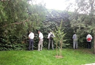 6月30日，頤和園內(nèi)綠地上，多名游客在小解。 網(wǎng)友“攝影老鬼” 攝