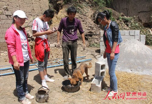 渴壞了的小黃狗在喝水。王生元/攝