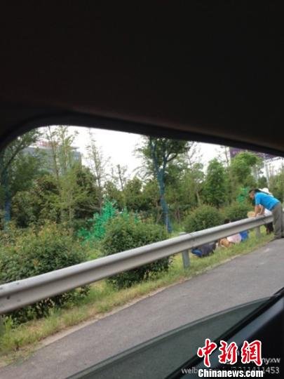 網(wǎng)友質(zhì)疑南京南站輔道種假樹(shù) 市委書(shū)記當(dāng)晚批示徹查 網(wǎng)友質(zhì)疑南京南站輔道種假樹(shù) 市委書(shū)記當(dāng)晚批示徹查