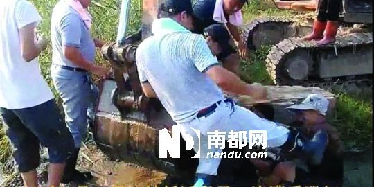 幾名戴黑帽的男子將一名老人推入水塘，后反復腳踹。