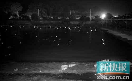 昨日，西湖村鱷魚養(yǎng)殖場已修復圍欄。