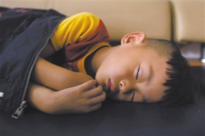 9月6日，等待錄制節(jié)目的多多躺在沙發(fā)上熟睡。新京報(bào)記者 侯少卿 攝