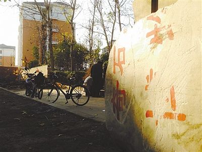 昨日，“上海奇石盆景博物館”原址上，已矗立起小區(qū)樓盤，而刻著博物館名的巨石，廢棄在一旁。本版圖片/新京報(bào)記者 張永生 攝