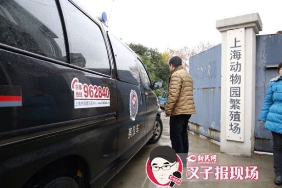 殯葬車到達(dá)現(xiàn)場。新民網(wǎng) 記者 蕭君瑋 攝