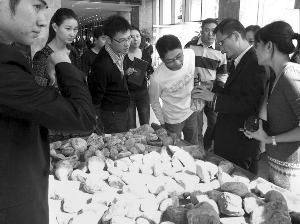 前段時(shí)間，夫子廟古玩城舉行的一場(chǎng)賭石活動(dòng)，吸引了不少人參與