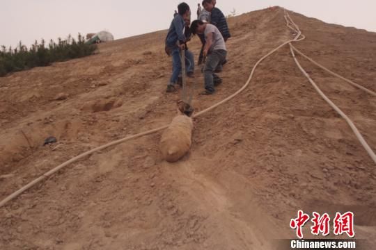 　4月27日上午，當(dāng)?shù)卮迕裨诠系販洗逡痪G化處挖出一枚長(zhǎng)1米，重200斤的炸彈，5月10日，這枚炸彈已