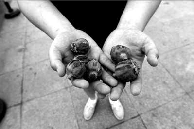 “大煙殼”輕易就可以買到。下圖：女?dāng)傊髂贸霾卦诩t色兜子里的“大煙殼”，向記者兜售。京華時(shí)報(bào)實(shí)習(xí)記者趙思衡攝