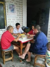 掃水掃不及，胥家鎮(zhèn)柏河村的居民干脆打起了麻將。