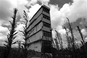 這幢5層的“片片樓”周圍已是一片拆遷后的廢墟，左邊的一堵墻上，不少鋼筋裸露在外面 圖片來源：新華網(wǎng)