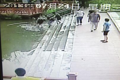 救人現(xiàn)場的視頻截圖。（監(jiān)控截圖）