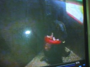 男子將侯某撲倒，侯某反抗。