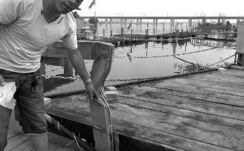 鼻孔里凝著血痂、全身多處擦傷的周先生仍有些驚魂未定。