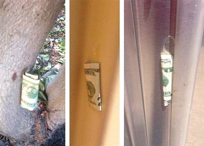 “隱藏的鈔票”會(huì)被神秘人藏在公園、廁所等“奇怪的地方”。