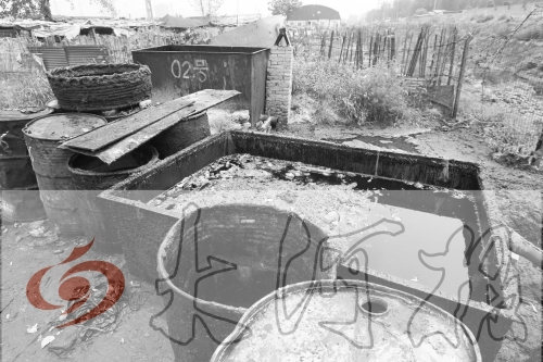 　　骯臟、令人作嘔的油桶凌亂地擺放在院子里，為了避免視覺刺激，我們把它做成了黑白圖片。