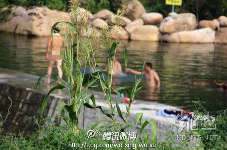 網(wǎng)友曝光的現(xiàn)場(chǎng)圖片。（圖片來(lái)自網(wǎng)絡(luò)）