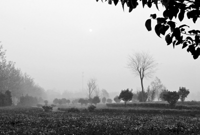 3月26日上午8點(diǎn),鄭大新校區(qū),濃濃的霧霾埋沒了大好春景。