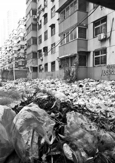 透過擋板縫向內(nèi)看，30多米垃圾已經(jīng)將居民樓包圍。