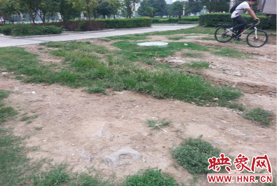 公園內(nèi)大片草坪遭到破壞。