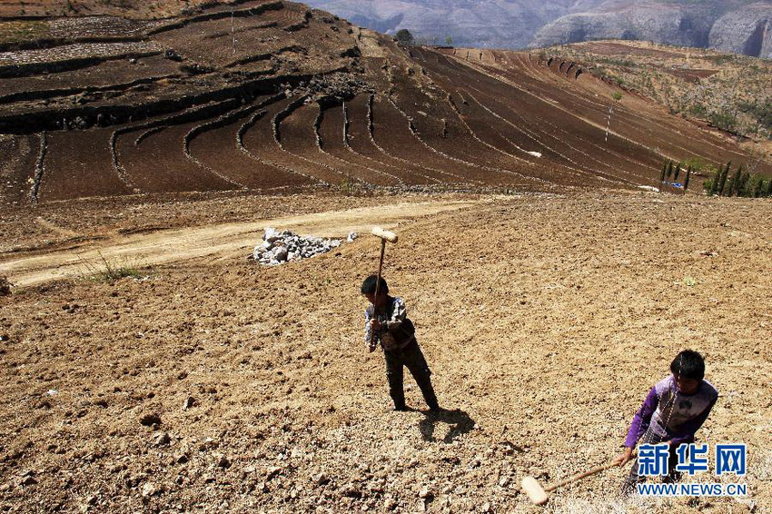 3月16日，在貴州省畢節(jié)市威寧縣斗古鄉(xiāng)中關村，兩個孩子幫助家人在干旱的土地上勞動。