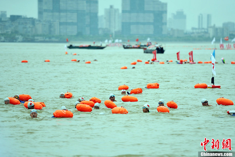 圖為江面上的橫渡方隊(duì)里的選手們劈波斬浪。中新社發(fā) 張暢 攝