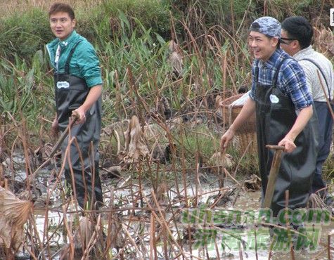 爸爸去哪兒？親密接觸荷花仙子