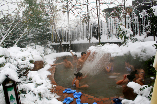 第三屆鄢陵臘梅文化節(jié)盛大開(kāi)幕邀您來(lái)